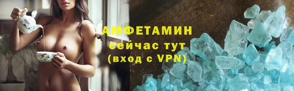 соль ск Ельня