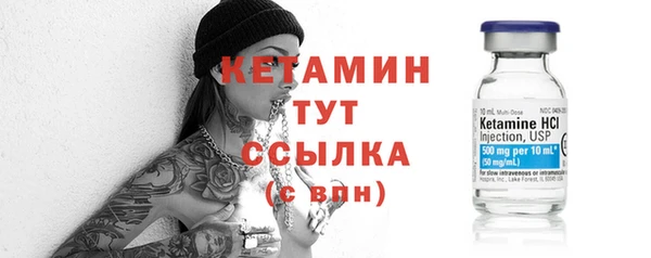 соль ск Ельня