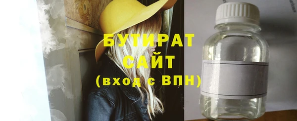 соль ск Ельня