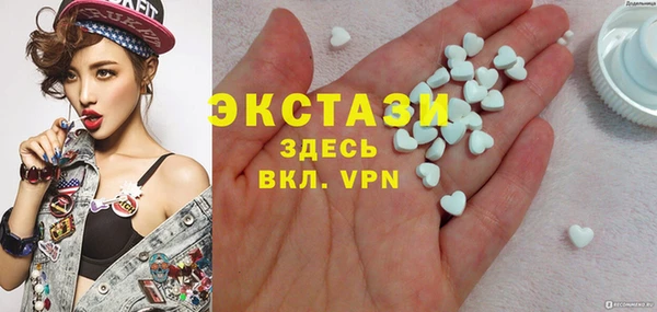 соль ск Ельня