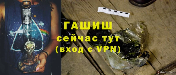 соль ск Ельня