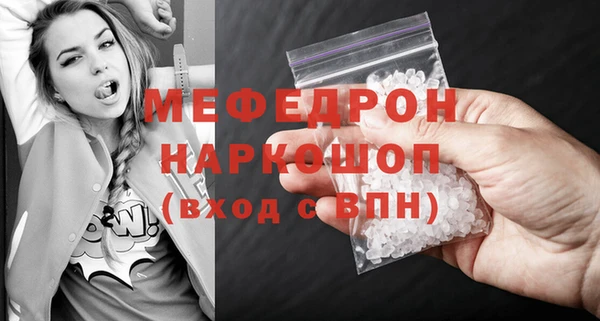 соль ск Ельня