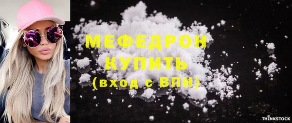соль ск Ельня
