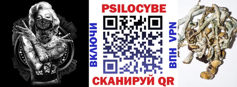 Купить где  Жердевка  Галлюциногенные грибы мицелий 